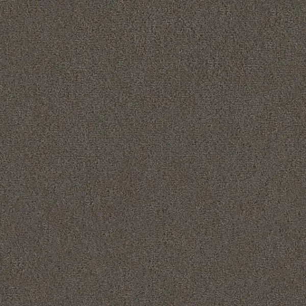 Draufsicht Girloon TWIN Teppichboden Velours 865 Kieselbraun, 2/4 m breit